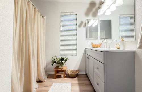 Cactus Bonito - Foto 39