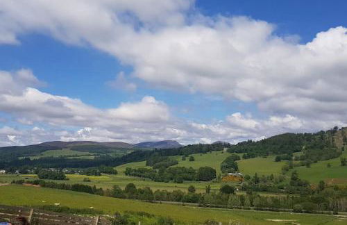 Orchid lodge - Foto 16