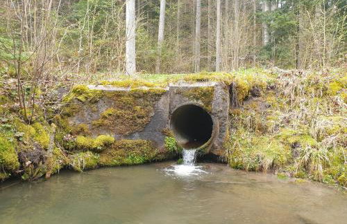 Ferienwohnung Fornsbachblick - Foto 27