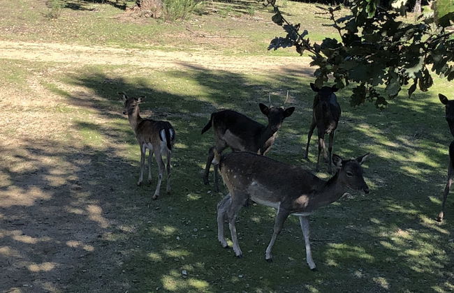 Bellavista - Foto 74