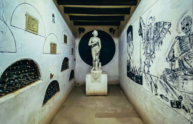 Alto Elqui Pisco Tour - Photo 8