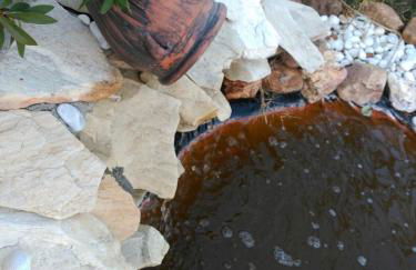 LOS ROSALES - Foto 29