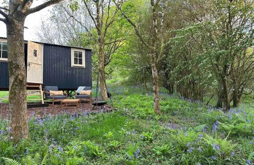 Shepherd's Hut - Sleeps 2 - Pet Friendly - Parking - Foto 51