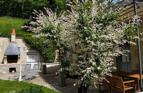 Altanka, Maison, calme au milieu de la nature près de Beauval, Chenonceau et autres chateaux de la Loire - Foto 7