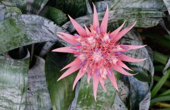 Futura Hotel - Foto 155