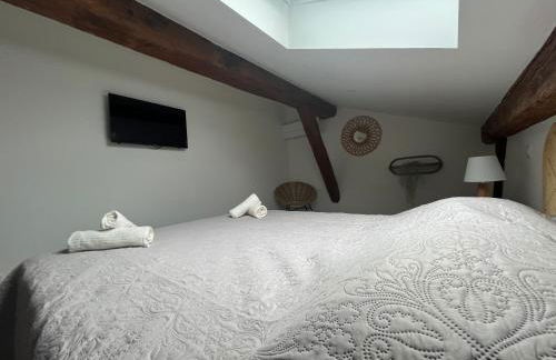 Louis XIII, Le Somail. - Foto 14