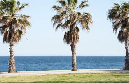 Apartamento Cerca del Mar - Photo 26