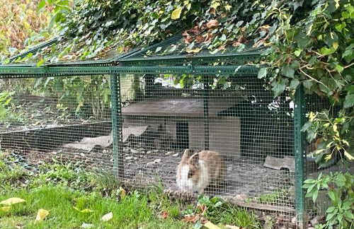 Family House - Foto 38