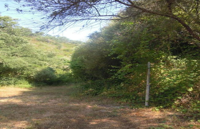 Quiet Cottage in Estate Casas da Cerca near Troviscais - Foto 29