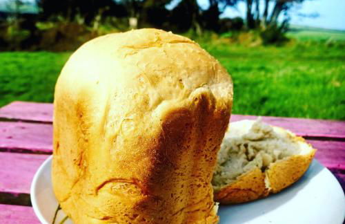 Secluded Converted Horsebox Retreat in Welcombe - Foto 13