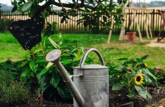 Ferienhaus Erbse - Foto 15