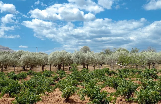 Outstanding Panoramic View, 10΄ Beach, 20΄ Airport - Foto 25
