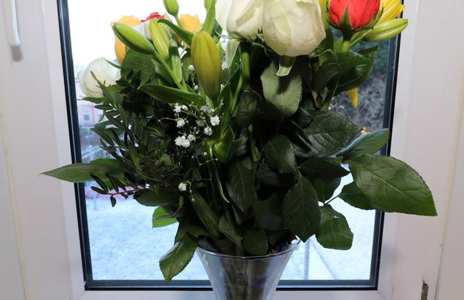 Anderson View - Motherwell - Photo 8