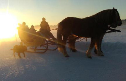 Agroturystyka Sominy - Foto 14