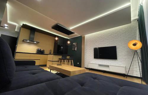 Golden Apartment Rogowo - Foto 5