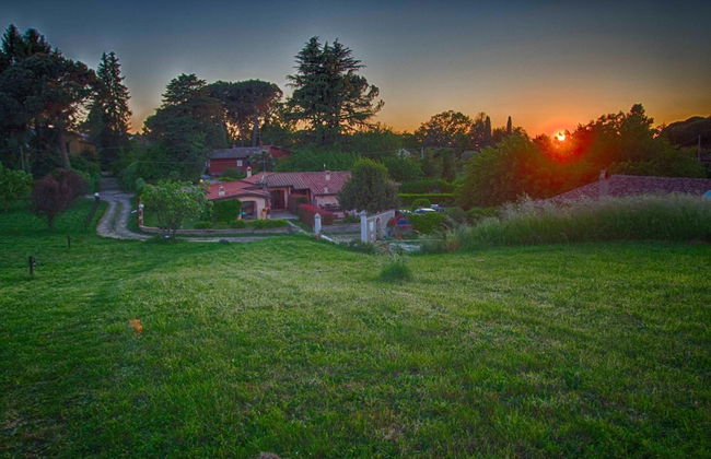 Olive Tree Hill - Foto 23