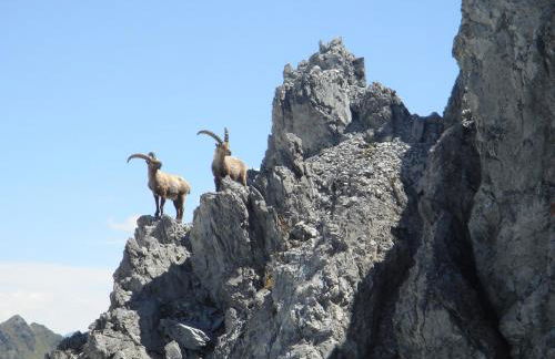 Lapis Monti - Apartments & Suites - Foto 9