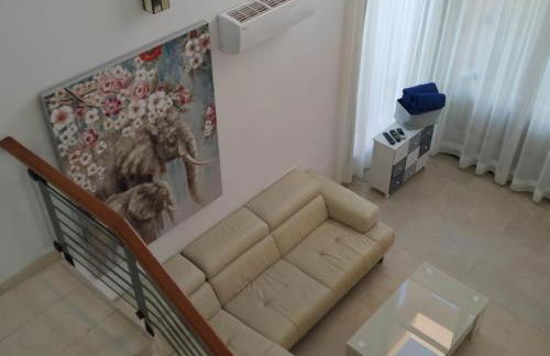 Casas De Tauro - Foto 50