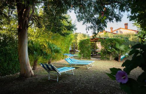 Uliveto Apartment - Foto 27