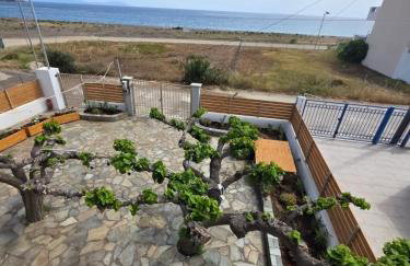 Sea Lilly - Photo 35