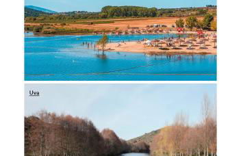 Casa do Galo / Galo House - Foto 31