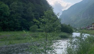 Rustichello - Foto 4