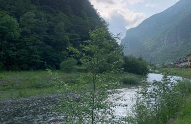 Rustichello - Photo 4