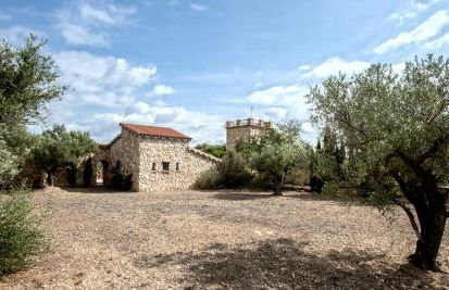 Finca Jabali - Foto 32