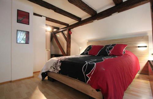 Idéal séjour Alsace ! proche Colmar et sur la route des Vins, Gîte de la Liberté - Foto 8