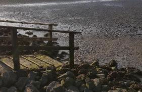 Küstenperle Nordsee mit Balkon und Sauna - Foto 21