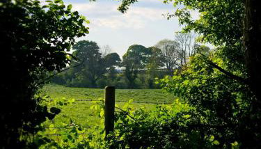 The Byre At Springbank - Foto 3, Garden
