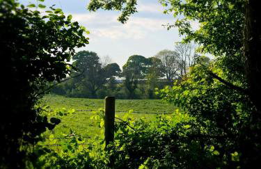 The Byre At Springbank - Foto 3