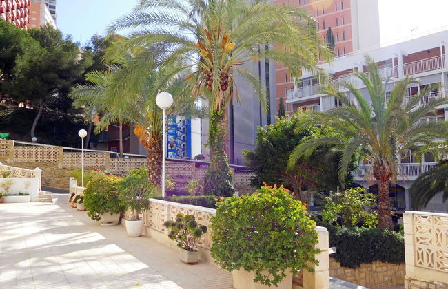 Halcon Levante - Foto 21