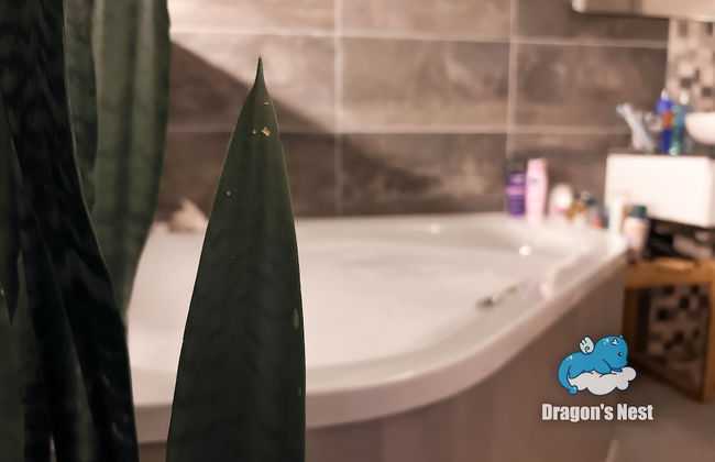 Dragons Nest: Cozy & Modern Attic Loft Nuremberg - Foto 64