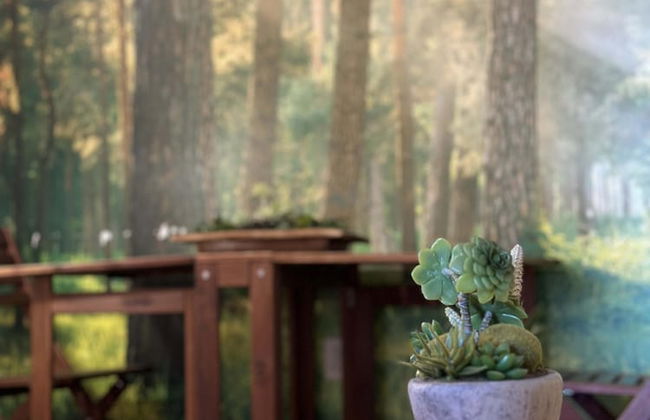 Downtown Apt Walk to PPG Conv Center More - Foto 5