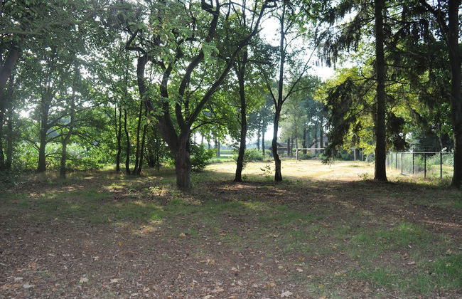 Cottage in Leenderstrijp Near Nature Reserve - Foto 31