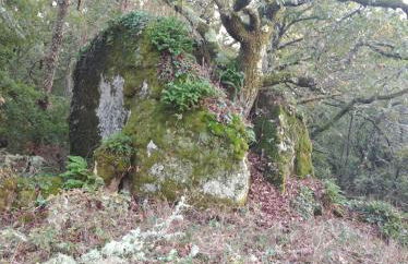 Casa Raposeira - Foto 10