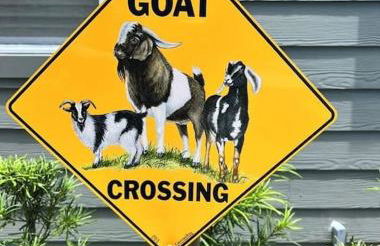 The Little Barn you are looking for! - Photo 25