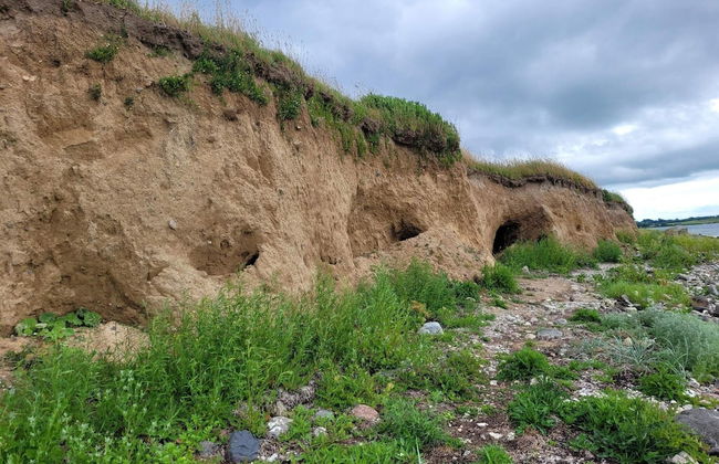 4 Person Holiday Home in Aeroskobing-by Traum - Foto 8