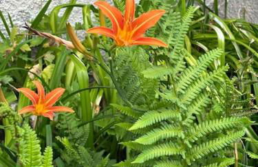 Au Temps Passé - Photo 21