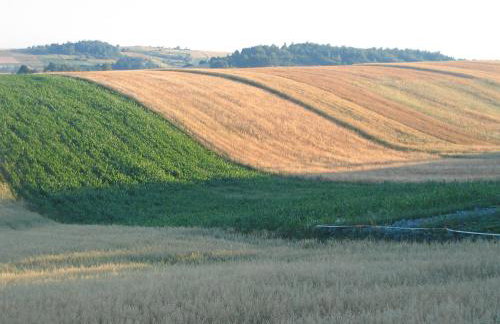 Holiday Home Moja Mała Toskania by Interhome - Foto 40