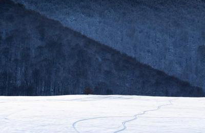 Domek nad Sanem - Foto 7