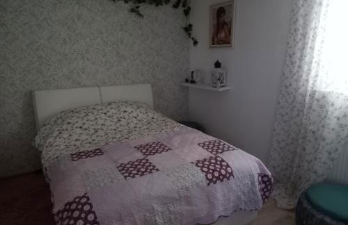 Orchidee 2 - Photo 9