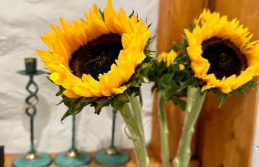 The annex on our farm - Foto 19