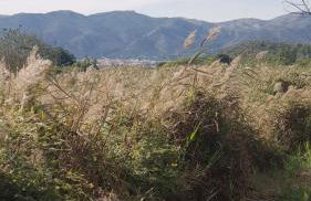 RichMarHome - Foto 64