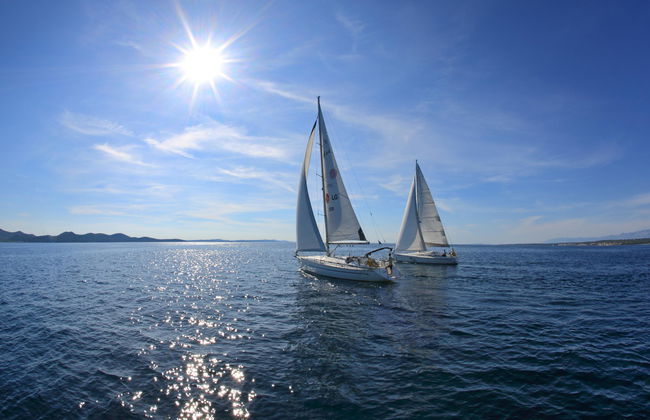 Vile Dalmacija - Foto 69