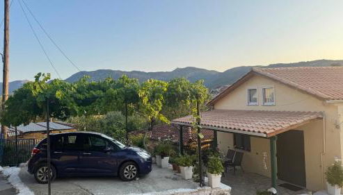 Basil & Sunrise - Photo 4