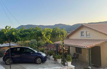 Basil & Sunrise - Photo 4