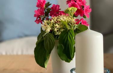 Landhaus Tipp - Foto 14