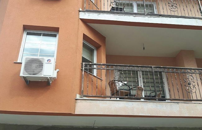 Vacation Home Emil - Foto 17